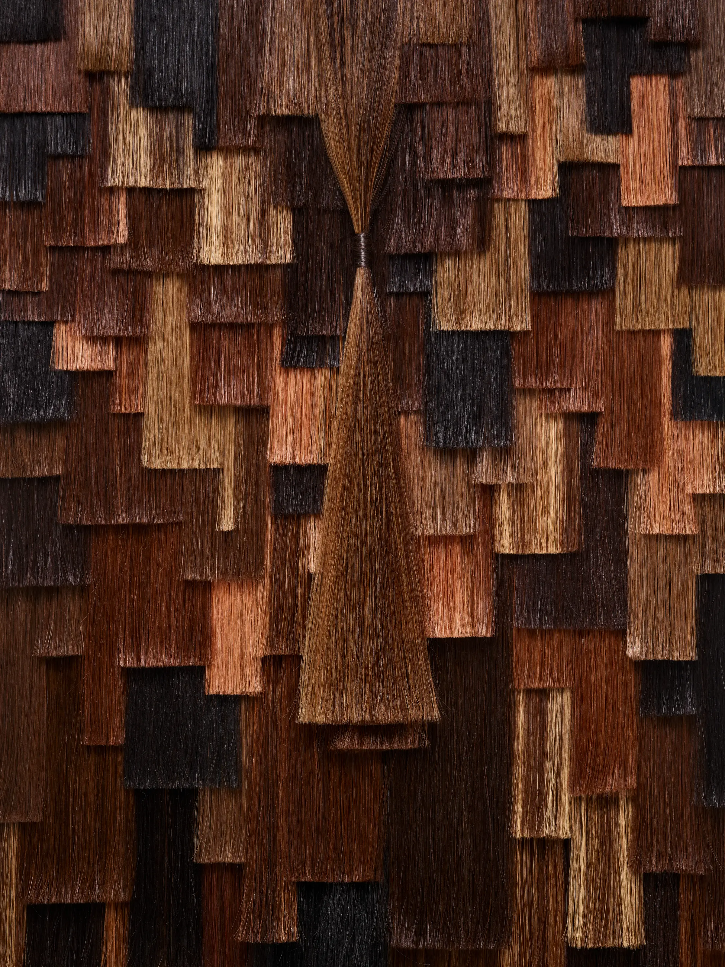 La Biosthetique Colour Image Mix Brown Wall
